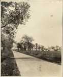 [Sutter Basin Boulevard, Sutter Basin]