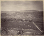 A California vineyard. Napa