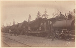 Logging train