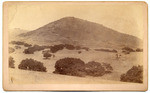 [Mt. Picacho near Arroyo Grande]