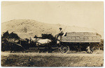 [Horse-drawn wagon loaded with grapes]