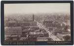 Bird's-Eye View from Court House Looking Southwest. # 272.