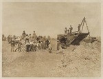 [Agricultural scenes near Camarillo] (2 views)