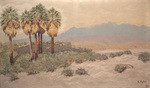 Desert near Palm Springs