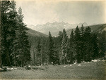 Kaweah Peaks from Rock Creek Meadow, trail to Mt. Whitney, Cal., 26754