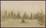 [Integral Mine, Trinity County]