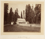 The Mammoth Grove Hotel, Calaveras Co., No. 27