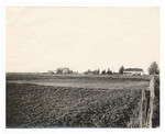 [Yolo County farm]