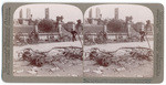 The Crocker residence and wrecked automobiles, ruined by earthquake and fire, San Francisco. #8251
