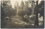 [Camp at Mt. Wilson]