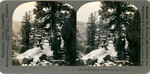 Nevada Fall Trail, Yosemite Valley, Cal., U. S. A., 5030