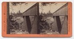 The Trestle Bridge at Long Ravine, 878 feet long, and 120 feet high, Central Pacific Railroad.