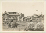 [School Garden in Highland Park, Sacramento]