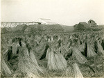 Flax mill, Stockton, California, 1719