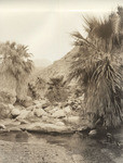 Palm Springs (3 views)