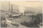 Mammoth Smelter, Kenneth, Calif. No. 255