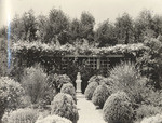 [James W. Heddens garden, Pasadena]