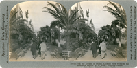 On the Avenue of Palms looking east towards the Southern Pacific R. R. Building, Panama-Pacific Int. Exp., San Francisco, Calif., 17716