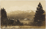 Mount Shasta, and Sisson, Cal. No. 505