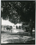 [28th Street gate, Sutter's Fort, Sacramento]