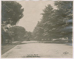 Capitol Park Jan. 30 - 1922 (5 views)