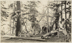 Getting grub at Bradley lake. Bill, Rusty, Gretchen, Ollie, Norm and Nurmi