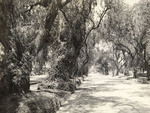 Pasadena, Marengo Avenue (south)