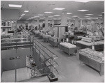 Montgomery Ward