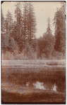 [Lake and redwoods]