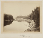 Tooth Bridge, Cascades, Columbia River, Oregon, No. 446