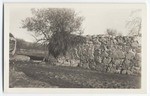 [Mission Dam remnant on San Diego River]