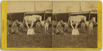 Trained horses, Costello's Circus, Sacramento, No. 1120