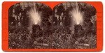 Rustic Fountain, Woodward's Gardens, San Francisco, Cal.