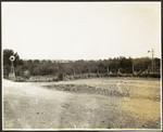 Ione Valley Orchard and Alfalfa Land