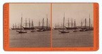 At the Yacht race, S.F. July 5, 1876. # 3596.