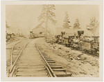 Depot at Truckee, 1869