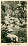 Near Wheelers Hot Springs, Ventura County, California