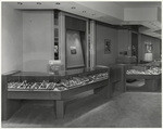 [Interior general view jewelry display counters Zales Jewelry Store, Lakewood, Calif.]