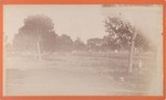 [View of orchard and railroad tracks]