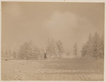 In the Norris Geyser Basin