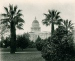 [California State Capitol]