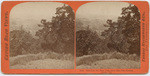 View from the Stage road, below Pine Flat, Sonoma County, Cal., # 1184