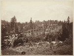 [National Flume], no. 524