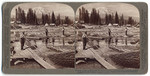 Polling Logs in McCloud River Lumber Co.'s Mill Pond - looking toward magnificent Mt. Shasta (14,442 ft.), Cal.