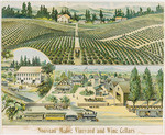 Nouveau Medoc Vineyard and Wine Cellars