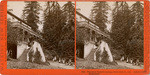 Glenwood Magnetic Springs, Santa Cruz Co., Cal. Hubert & Luff, proprietors, 5019