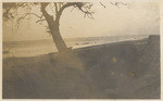 Goleta, 1913