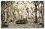 Jack London's Grave, Jack London Ranch