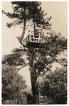 [Lookout Tree]