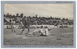 Navy Baseball Team at Treasure Island Athletic Field, San Francisco, Calif. # K250